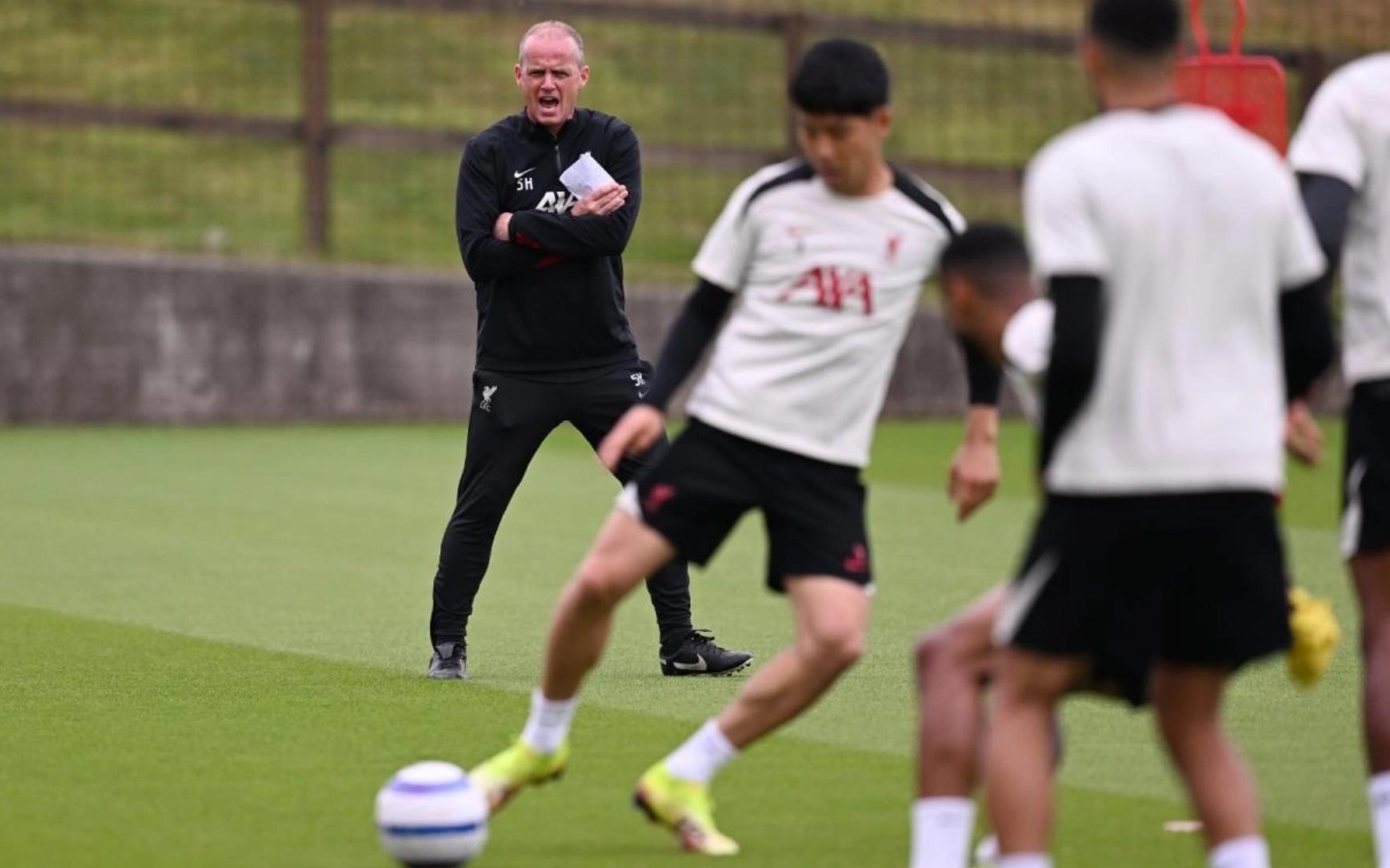 尼克斯的强 尼克斯的强